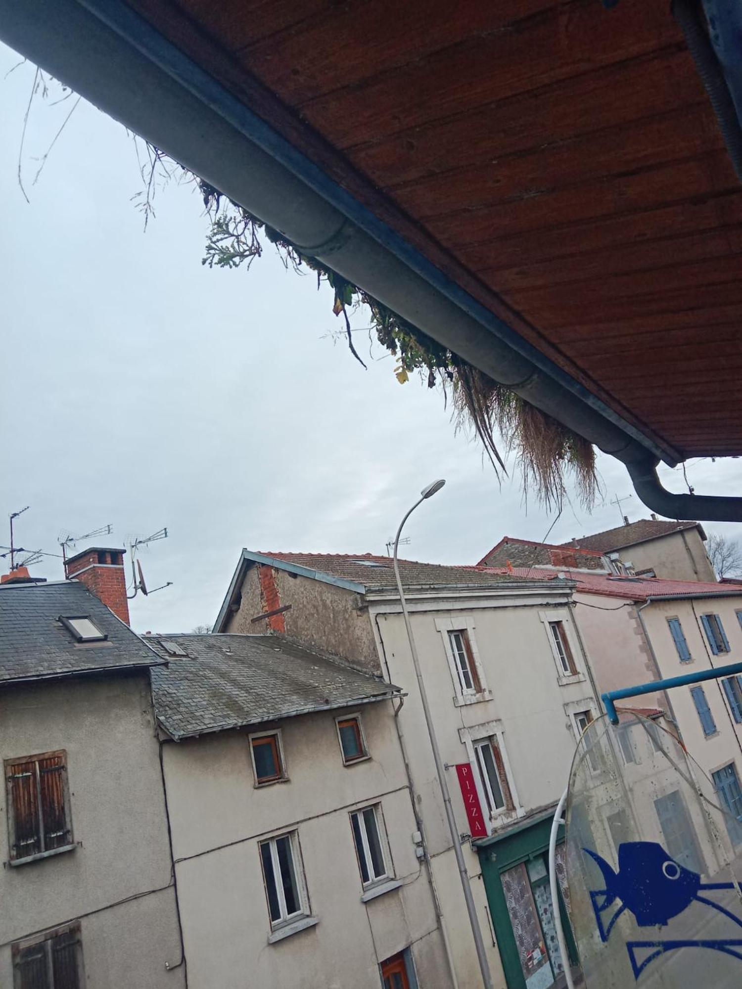 La Coquille D'Or Hotel Aixe-sur-Vienne Eksteriør billede